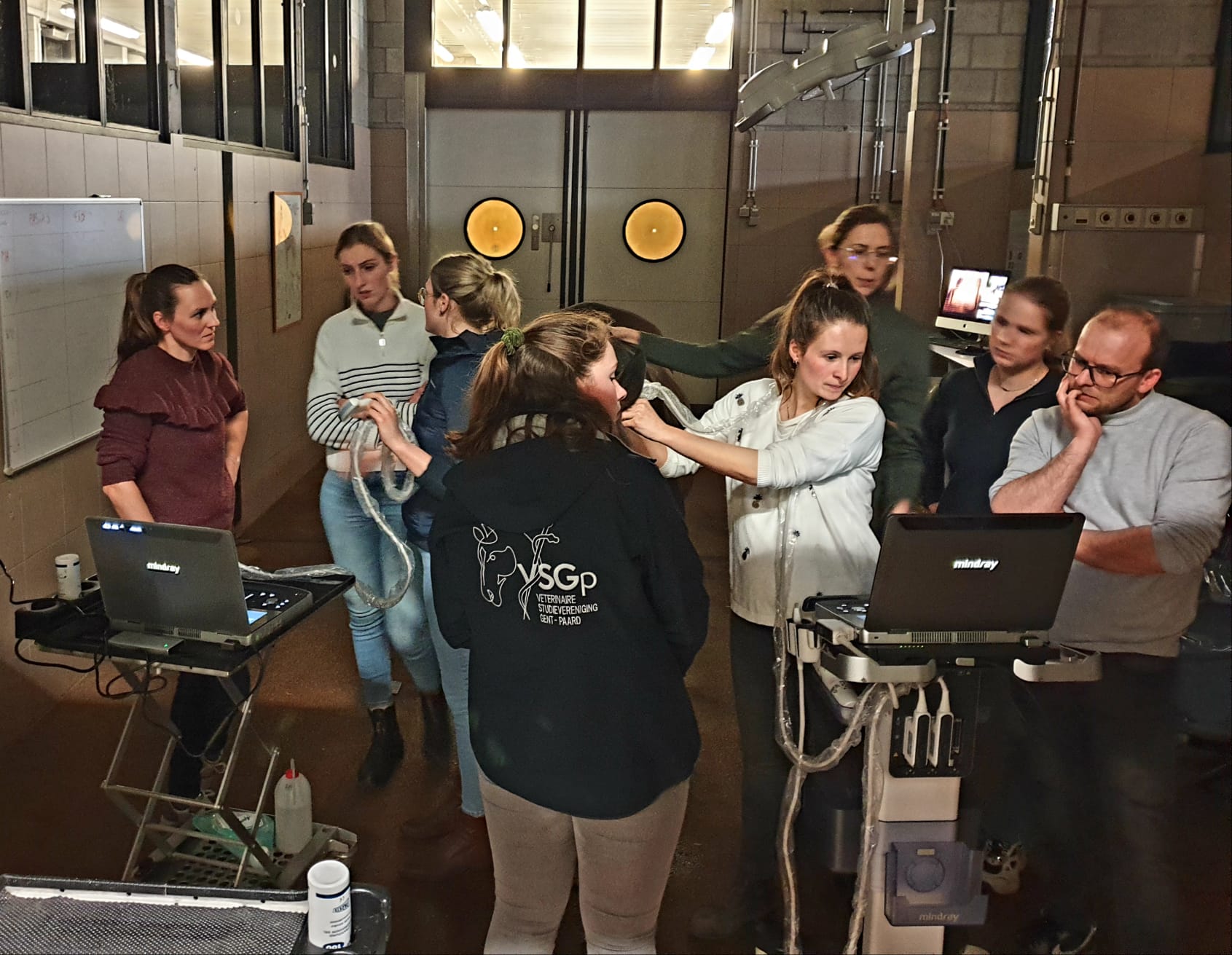 Echomedic had het genoegen om de verschillende opleidingen Echografie van et Paard van het de Academie voor Dierengeneeskunde te ondersteunen met onze echosystemen.