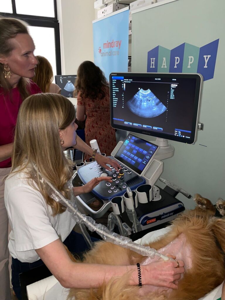 Nesto ultrasound workshop – 2024
