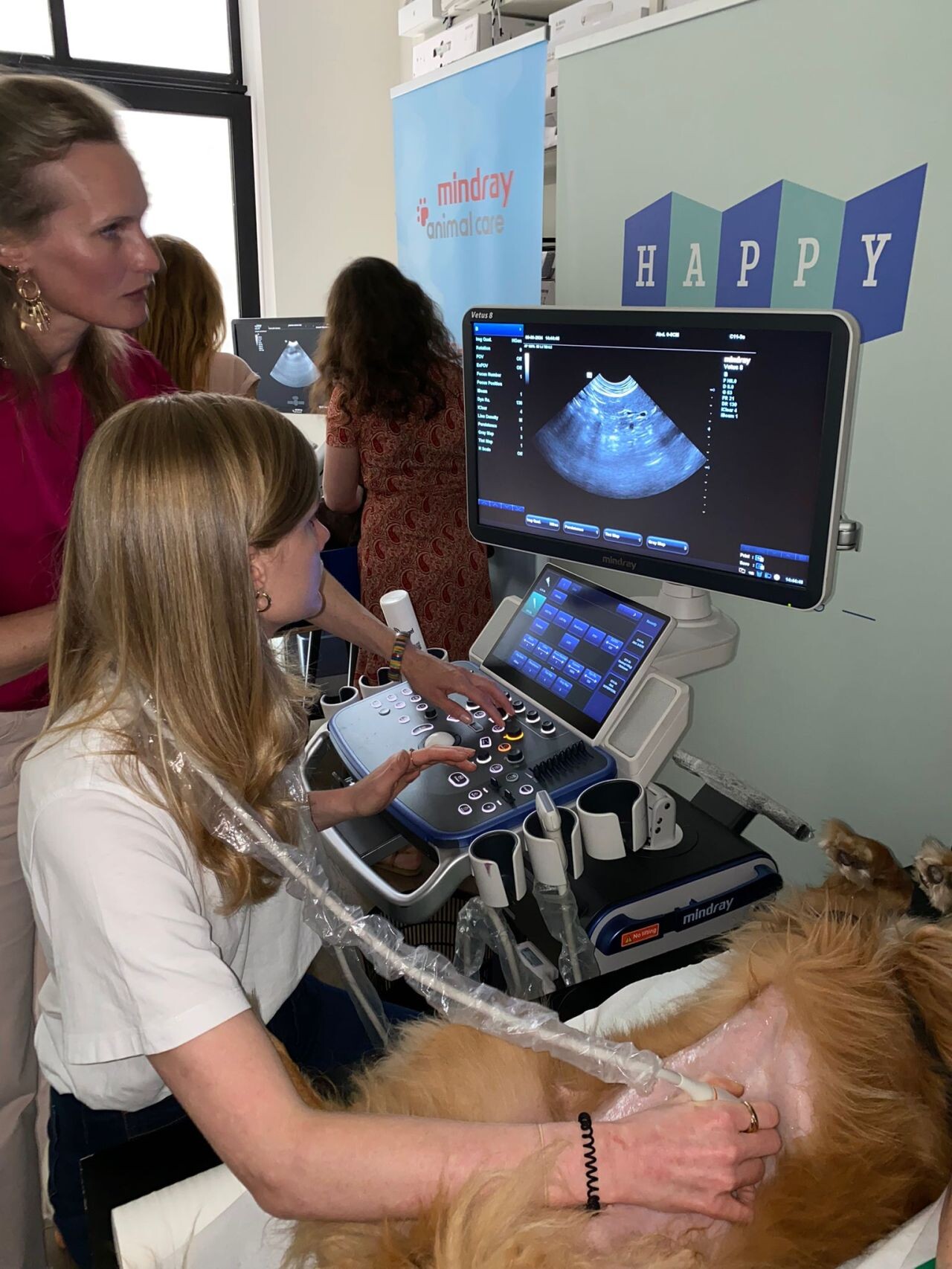 Een groep gemotiveerde dierenartsen namen deel aan de basiscursus 'Abdominale Echografie' van Nesto.