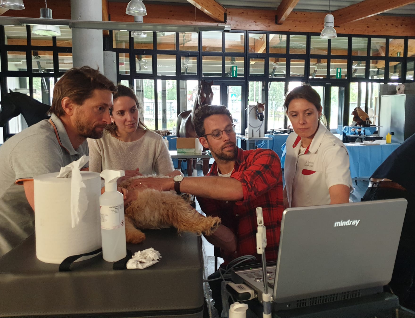 Een geslaagde cursus Echocardiografie- basismodule!!!

Een hele leuke groep enthousiaste dierenartsen volgden onlangs aan onze Academie voor Diergeneeskunde (vroegere IPV) deze echocardiografie cursus.