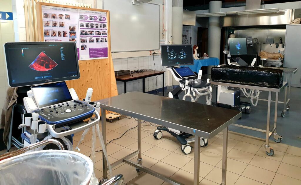 Weetjes en kneepjes over echografie van het abdomen: Module I