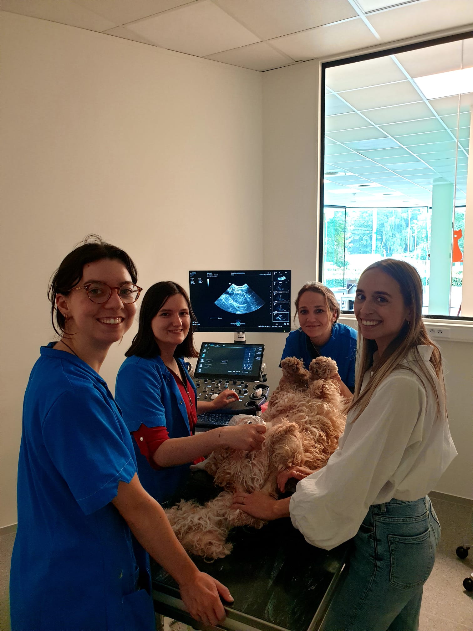 Wellopet organiseerde voor hun dierenartsen een opleiding abdominale echografie in hun nieuwe vestiging te Sint-Denijs-Westrem.