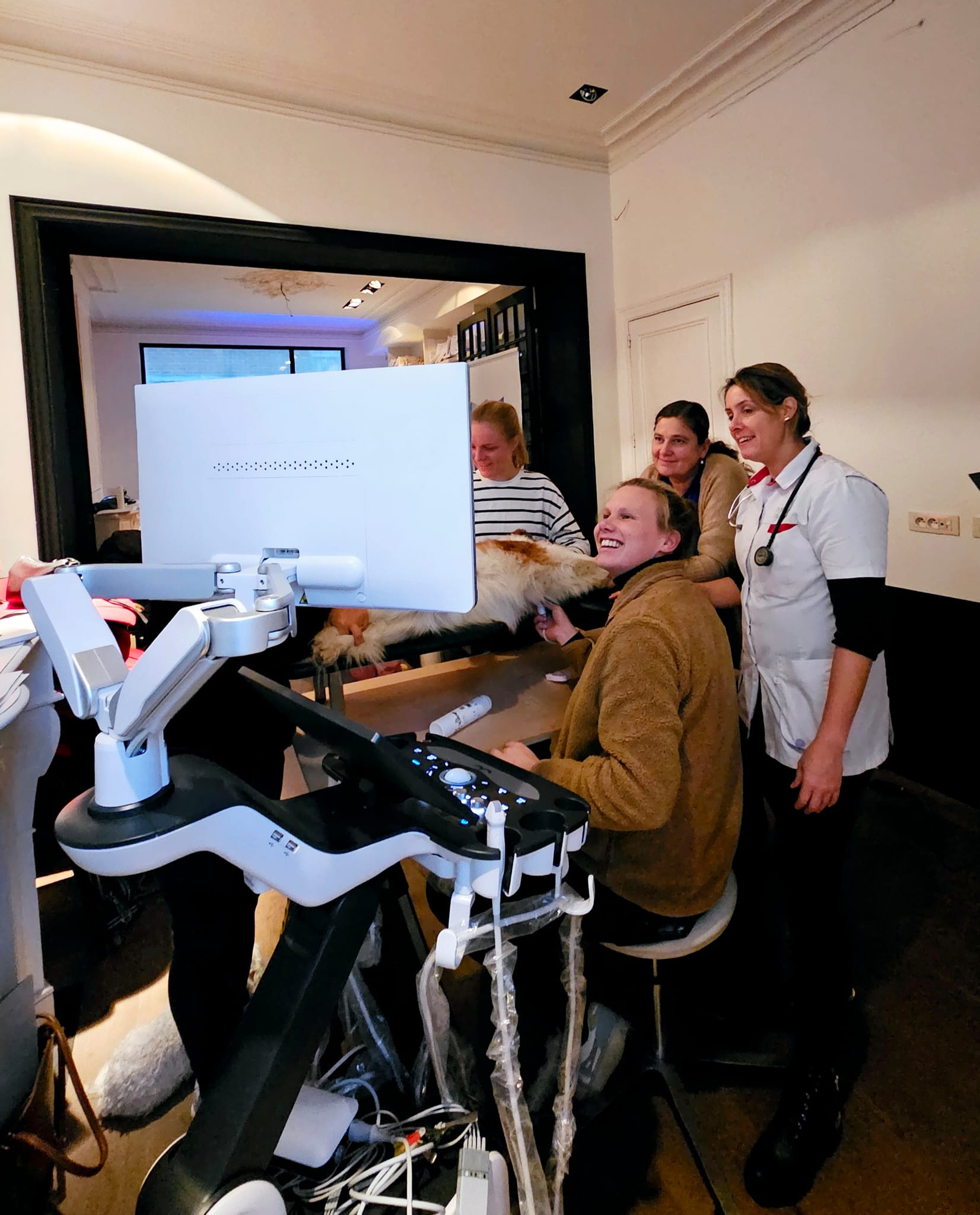 Gisteren hadden we het genoegen de Happy Vet opleiding cardio module 1 te ondersteunen.