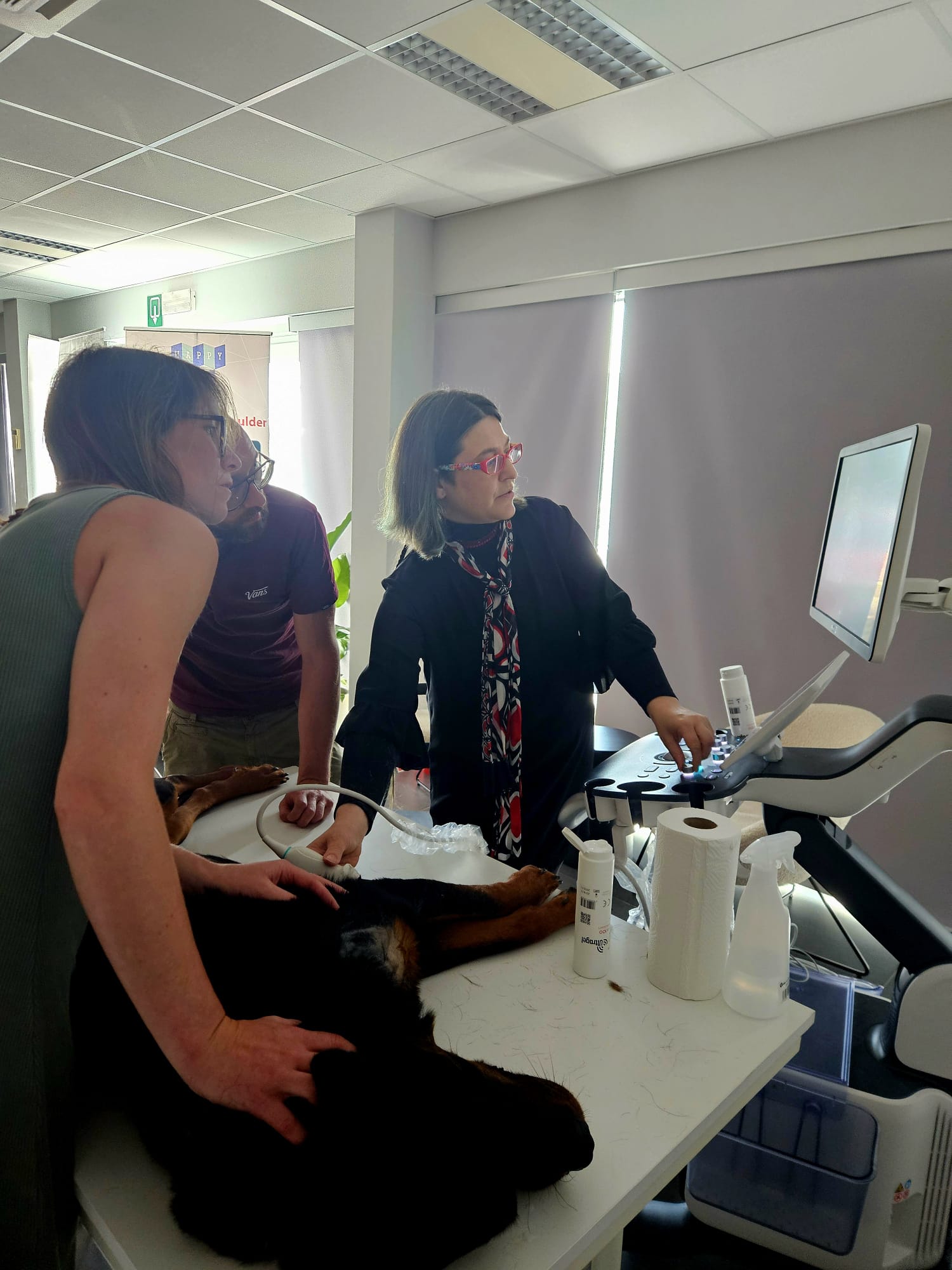 18 juni organiseerden we samen met Nesto een intensieve opleiding in musculoskeletale echografie. De opleiding werd gegeven door niemand minder dan Dr. Giliola Spattini.