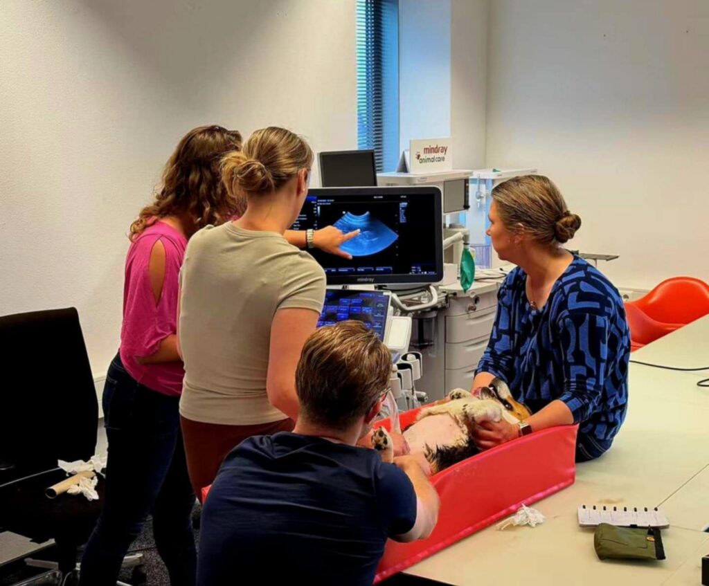 Eerste one-on-one in NL door Dr. Melanie Bouwmeester