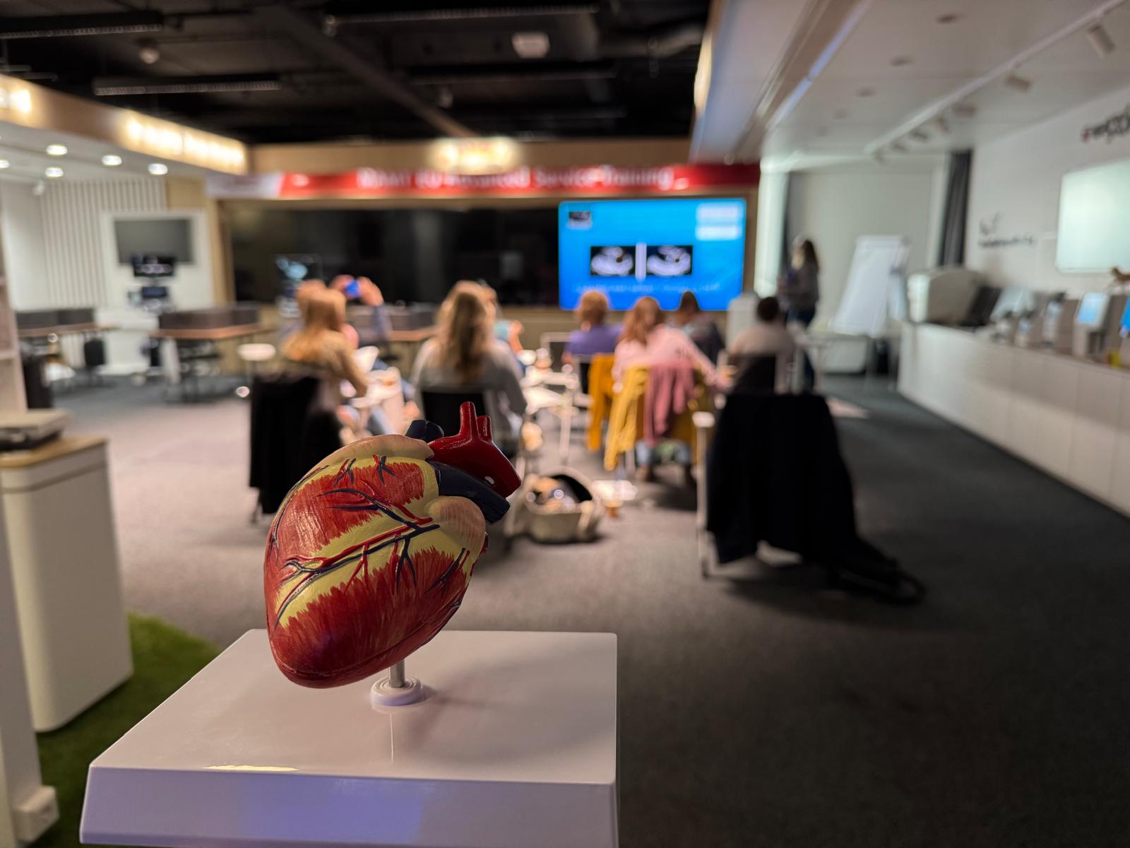 Melanie Bouwmeester leidde de deelnemers door de basismodule echocardiografie. Zij oefenden in het maken en beoordelen van standaard hartbeelden, met aandacht voor M-mode, beeldoptimalisatie en ECG. Tijdens het praktijkgedeelte verbeterden zij hun scantechniek en kregen waardevolle tips om met meer vertrouwen te beeldvormen.

Deze module vormt de basis voor de vervolgsessies over onder meer diastolische functie, klepafwijkingen, stenoses en feline echocardiografie.