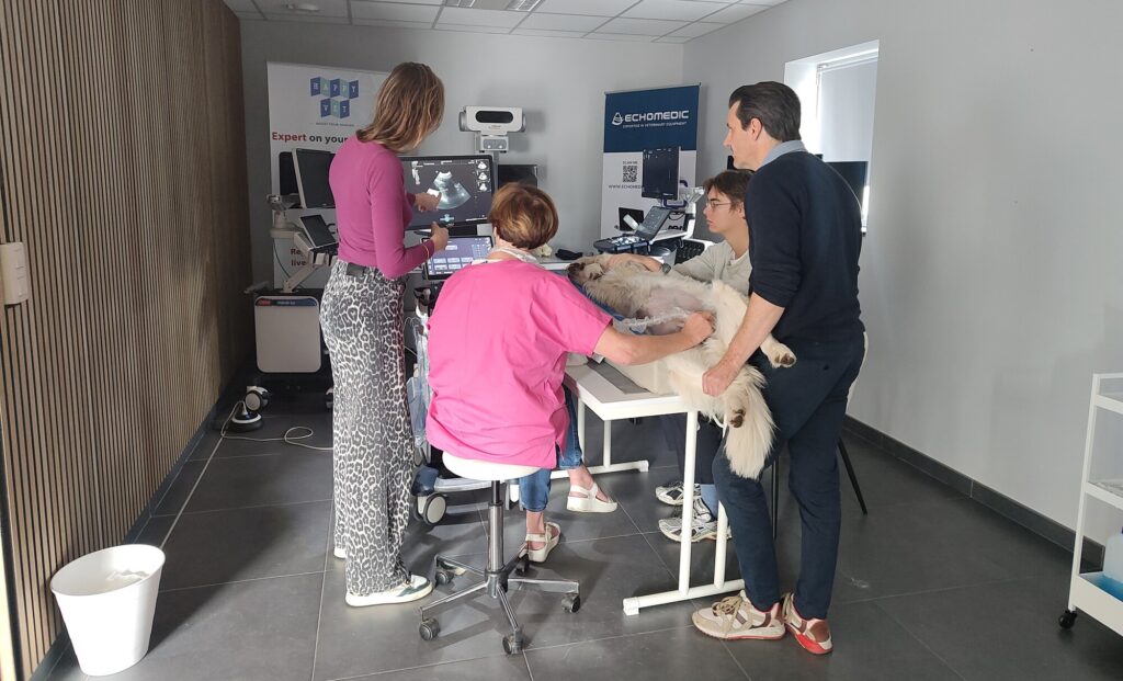 One-on-One Echo abdomen met Dr. Sarah Claerhoudt in België