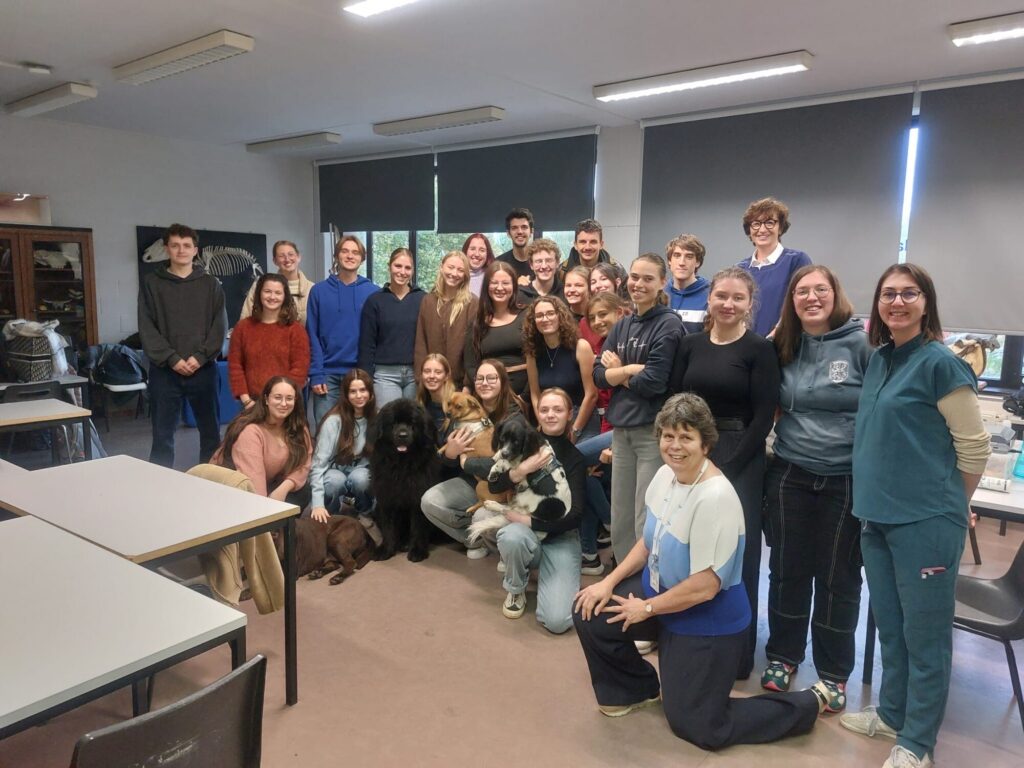 Echomedic verwelkomt 3e-jaarsstudenten van de Université Libre de Bruxelles voor een introductie in echografie!