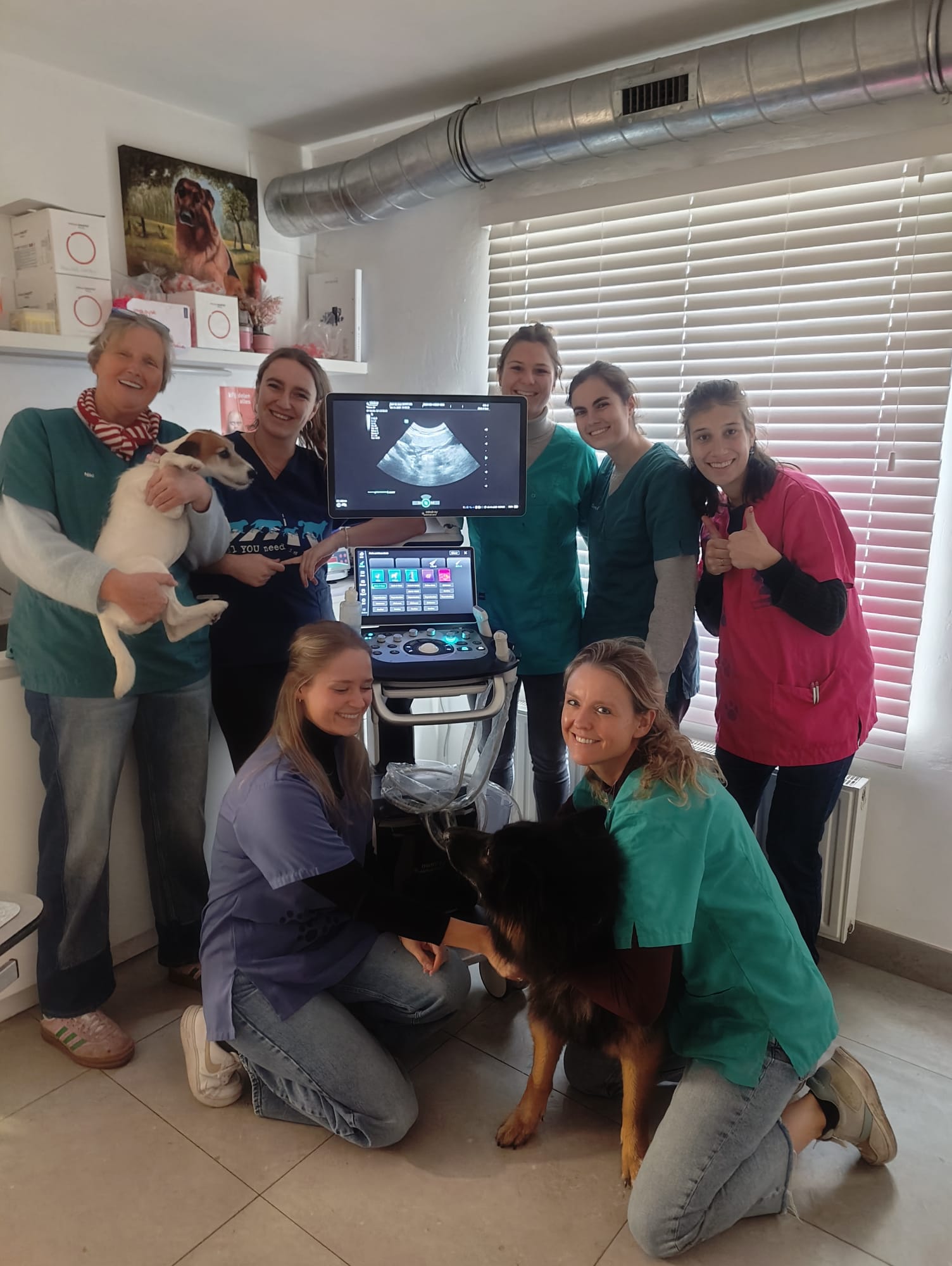 Installatie bij Dierenartsenpraktijk De 3 Biggetjes van een Vetus 50