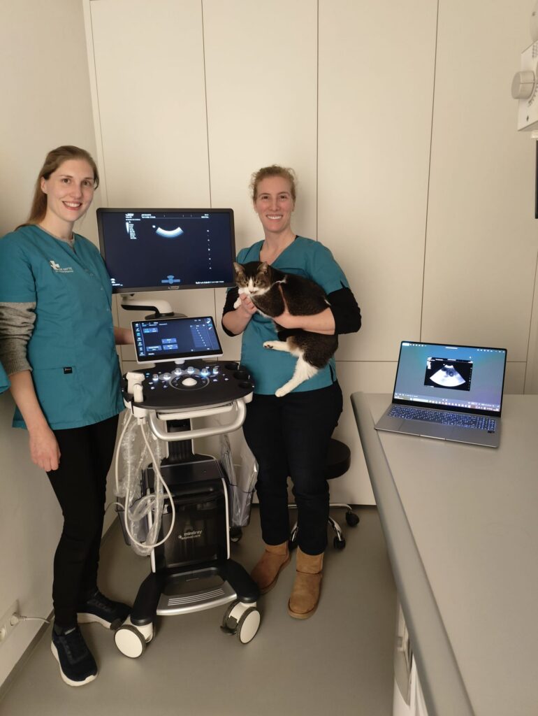 Installatie bij De Katte van een Mindray Vetus 50