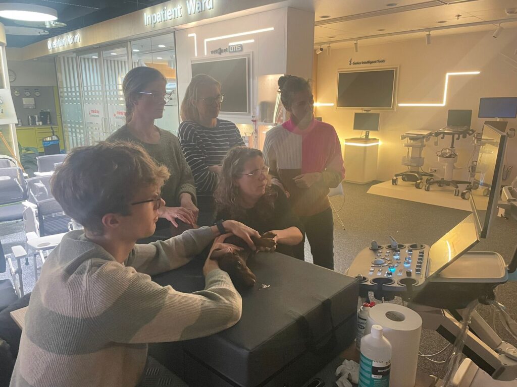 Echocardio Module 1: Basis cursus