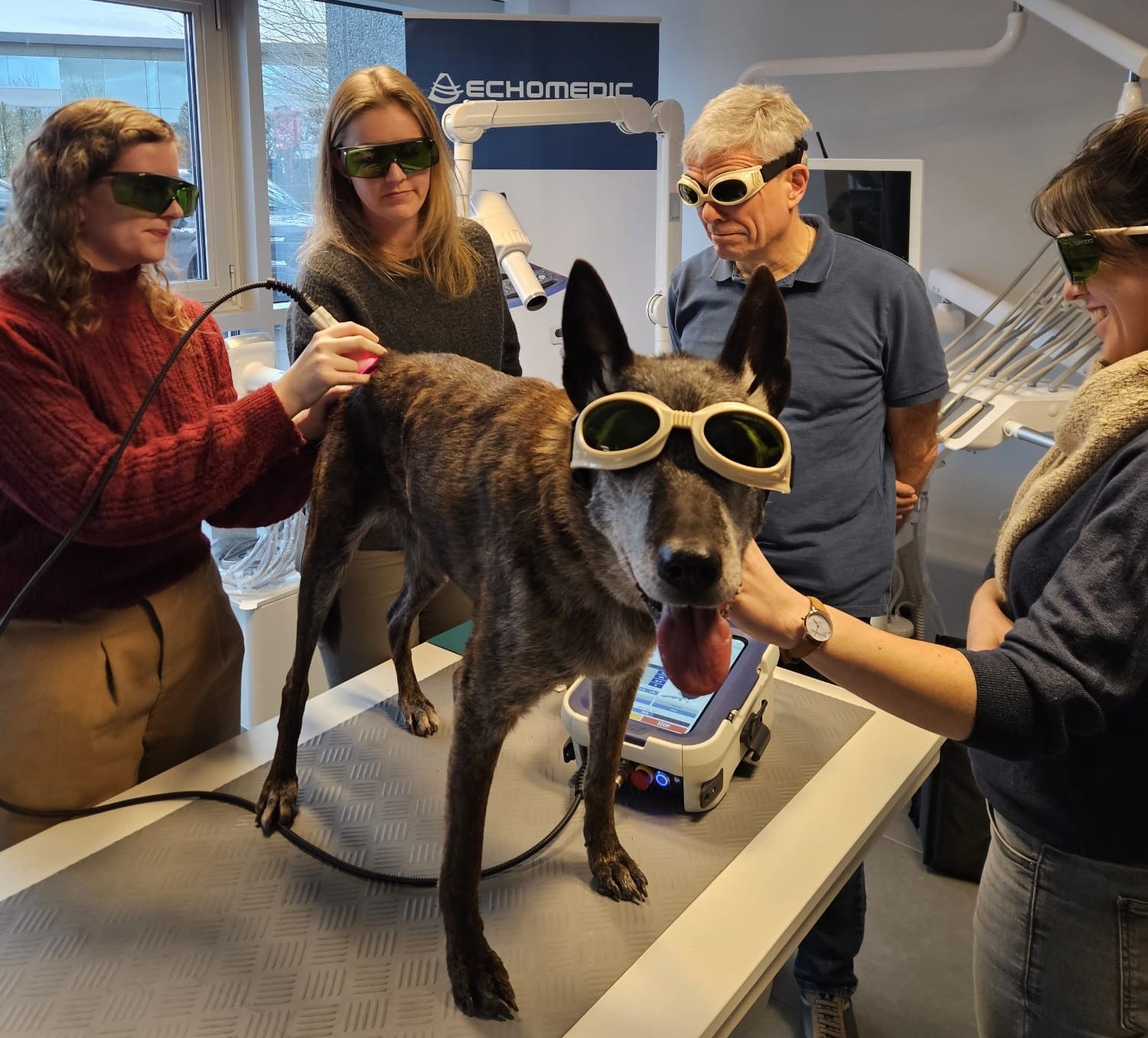 Met veel enthousiasme ondersteunden we de eerste opleiding van het jaar bij Happy Vet. Onder begeleiding van DVM, CCRT Nassèra Raeman dook een groep gemotiveerde dierenartsen en fysiotherapeuten in de wereld van lasertherapie.