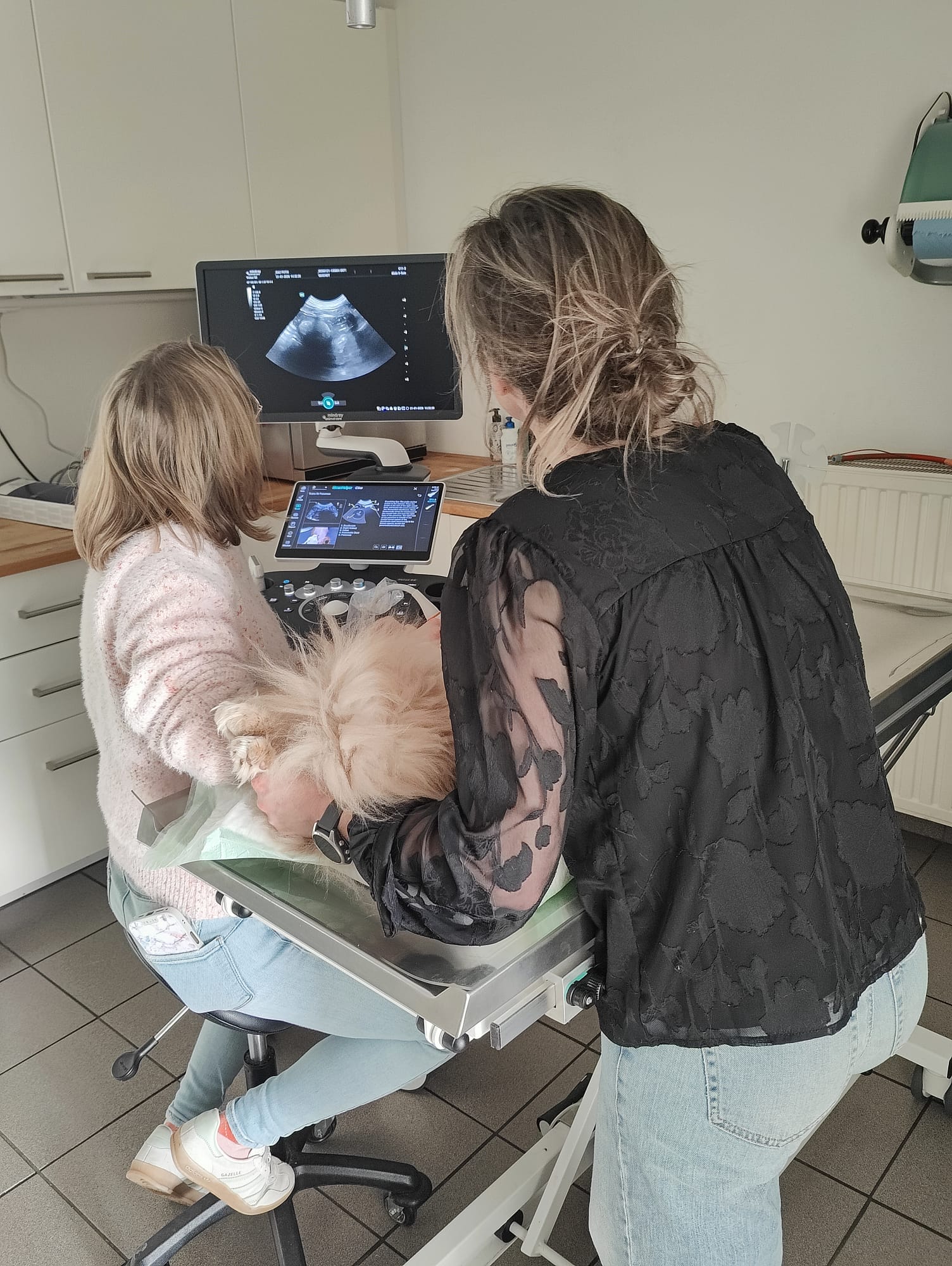 We hadden het genoegen om bij Dierenartsenpraktijk Potig de Vetus 50 van Mindray Animal te installeren, een aanzienlijke upgrade ten opzichte van het vorige toestel.