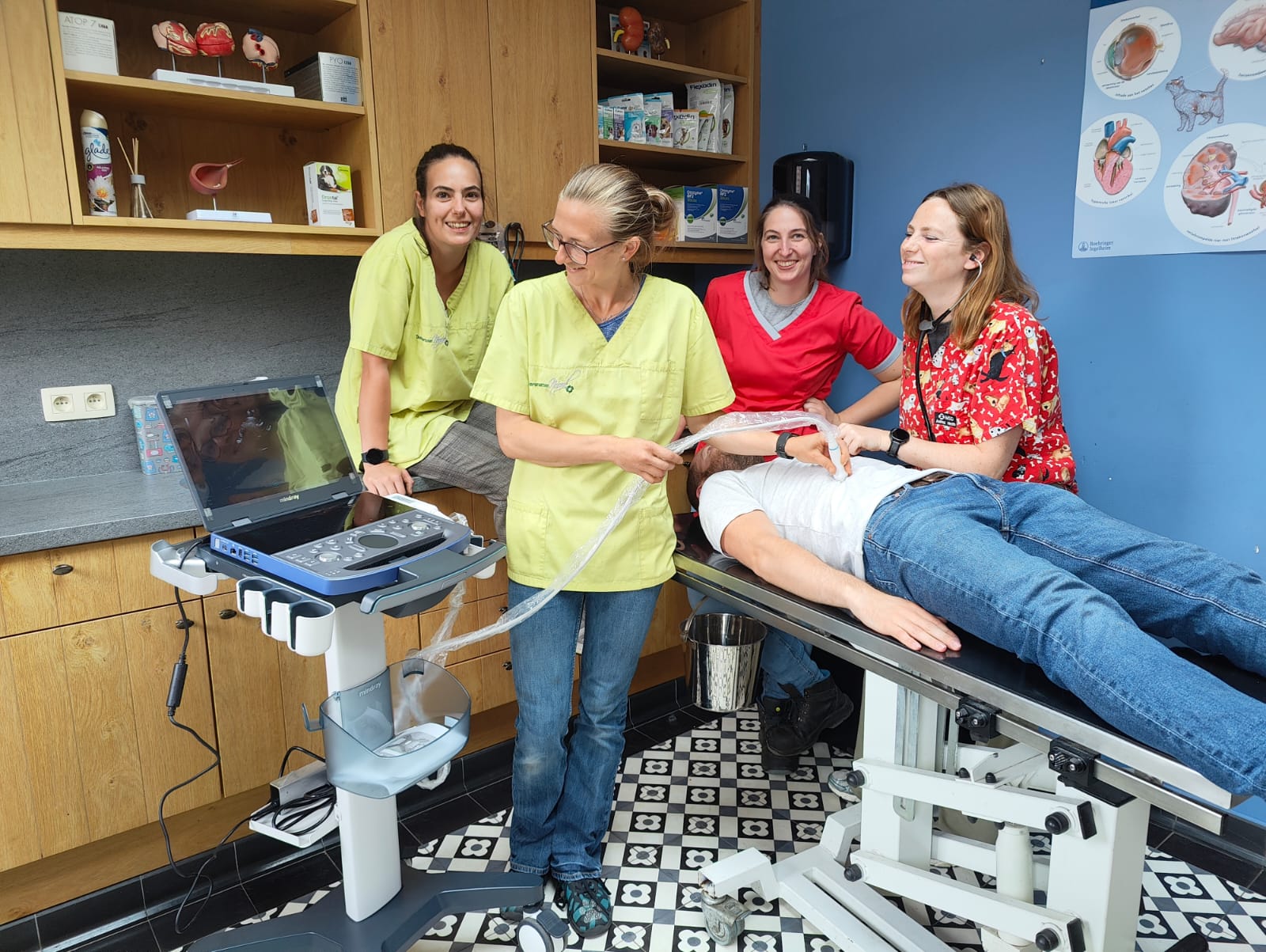 Installatie van de Vetus E7 bij dierenartsen Noord voor abdominale en cardiale echografie