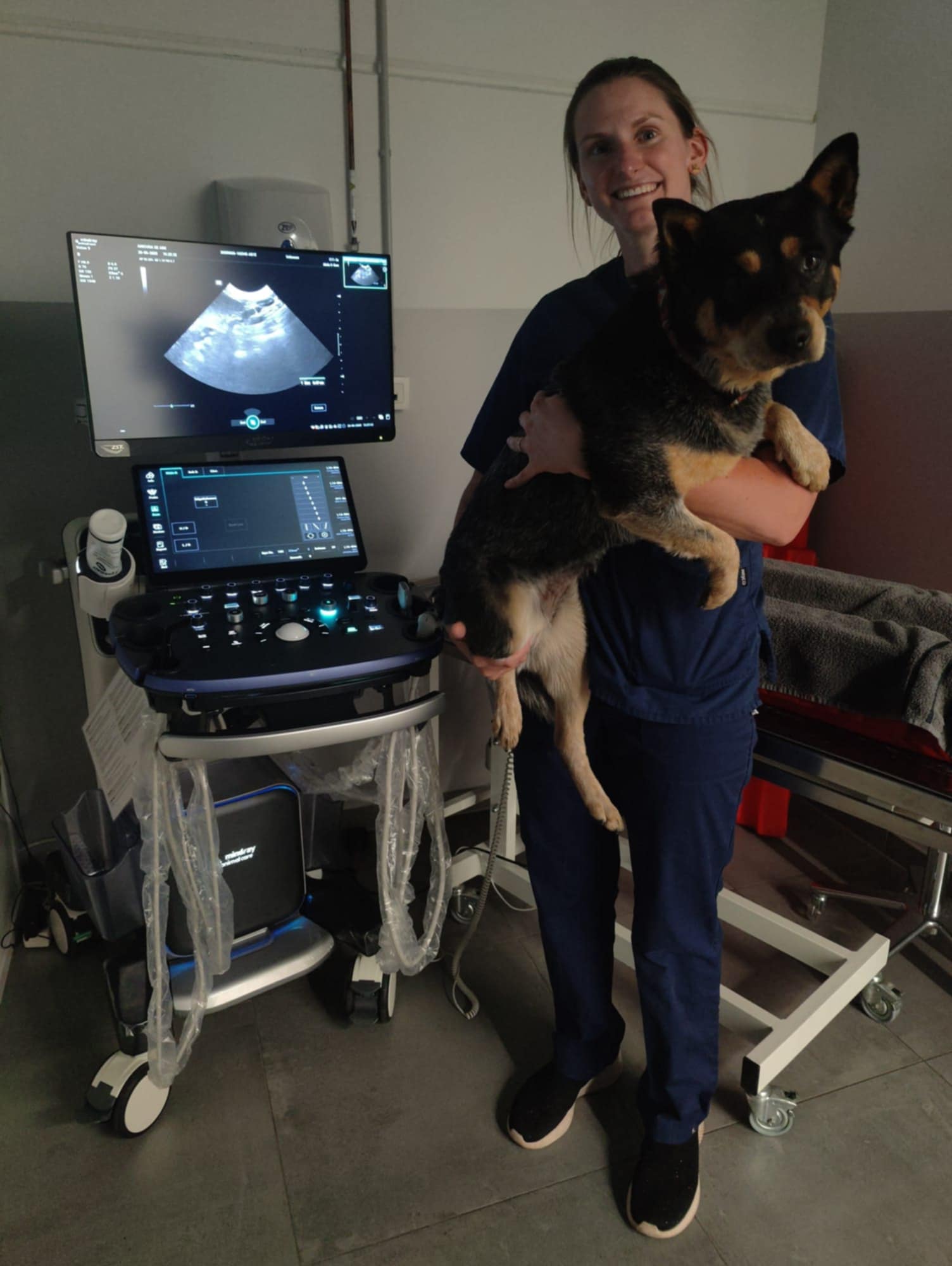 AniCura Dierenkliniek De Ark – kiest voor premium beeldvorming met de Mindray Vetus 9. Voor hun focus op hoogstaande diagnostiek investeerde Jolien Horemans van AniCura Dierenkliniek De Ark in de Mindray Vetus 9 – het meest geavanceerde echografiesysteem binnen het Mindray-aanbod.