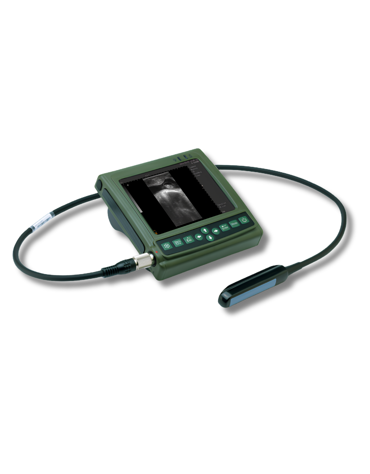 EB ONE V1 Portable Veterinary Ultrasound for Equine & Bovine EB ONE V1 portable veterinary ultrasound scanner for equine and bovine pregnancy diagnosis