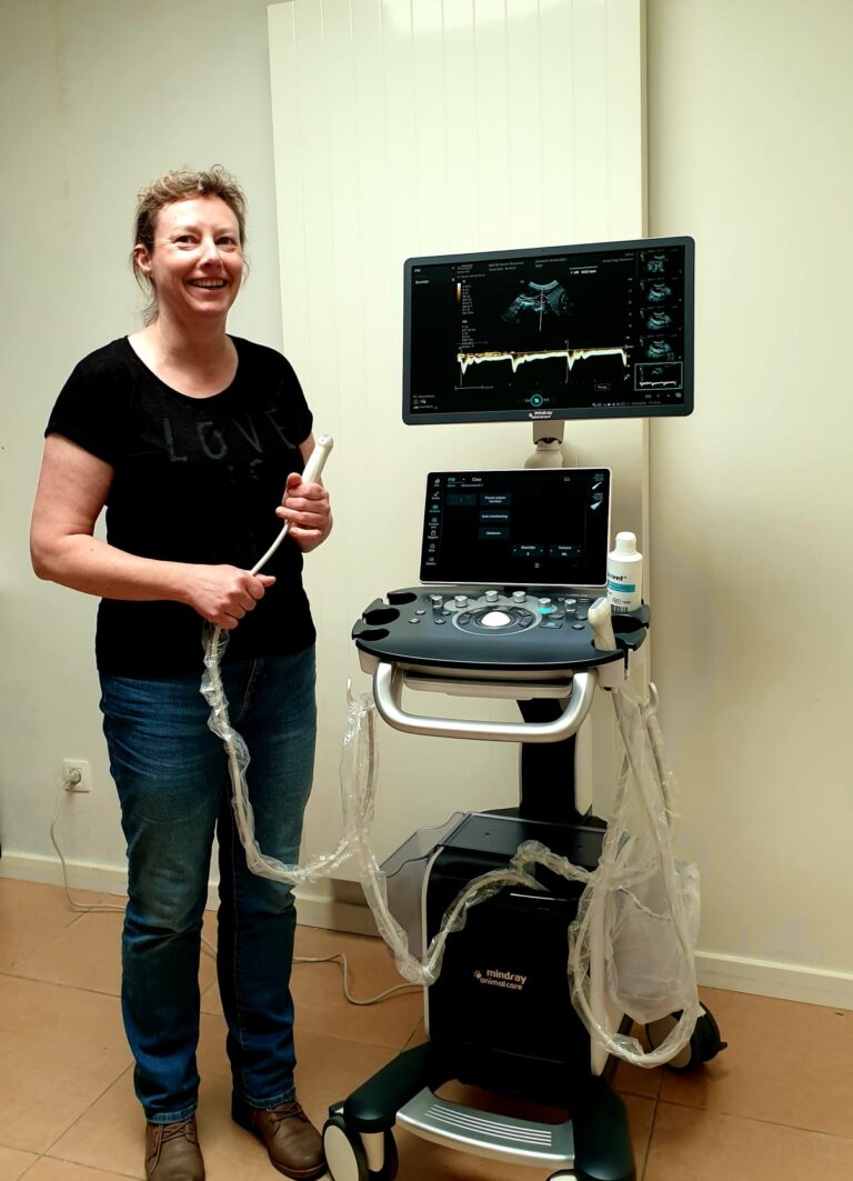 Installatie bij Dr. Geneviève De Keyser