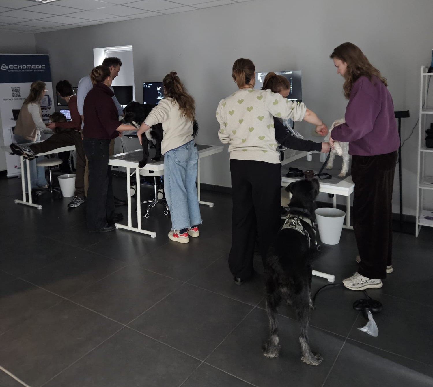 Met plezier ondersteunde Echomedic opnieuw een inspirerende opleiding bij Happy Vet in Deinze: de POCUS hart-training onder leiding van Dr. Pascale Smets.
