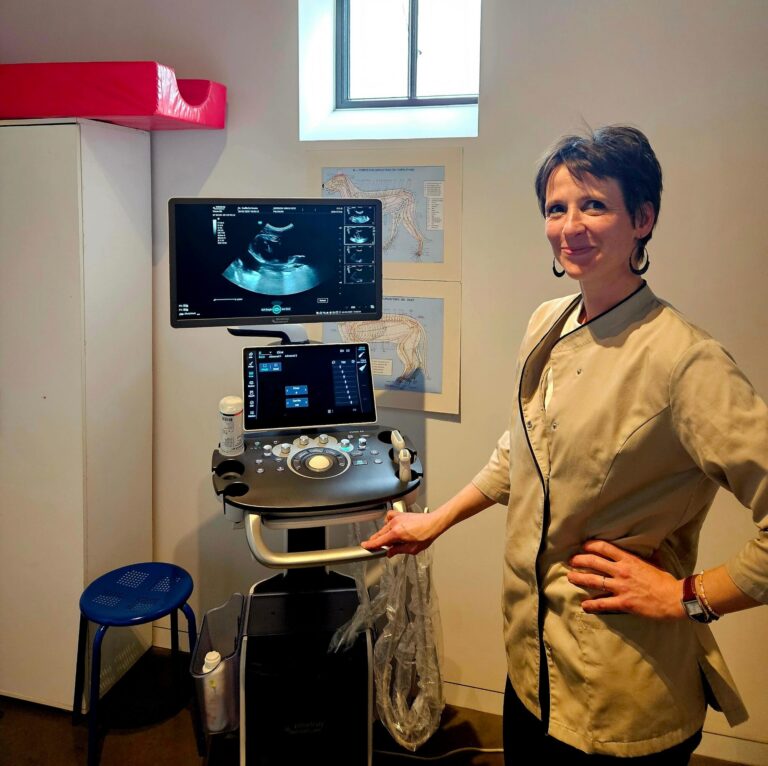 Installatie Vetus 50 bij Dr. Gaëlle De Groote