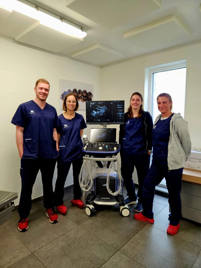 Installatie Vetus 9 bij AniCura Dierenkliniek ADK