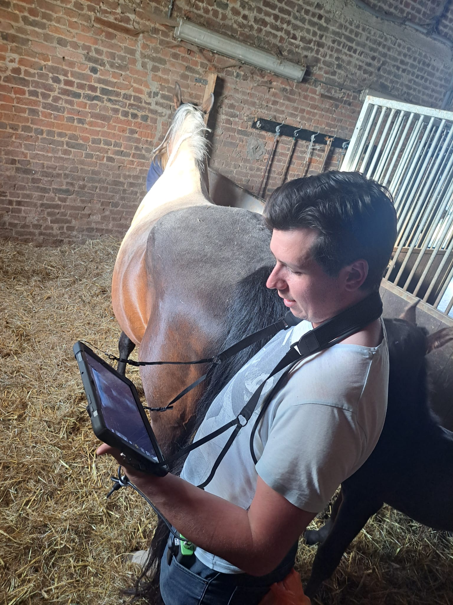 Met trots delen we de samenwerking met Pieter Jan Van Holder, die de EB-Q gebruikt voor dracht­echografie bij het paard.