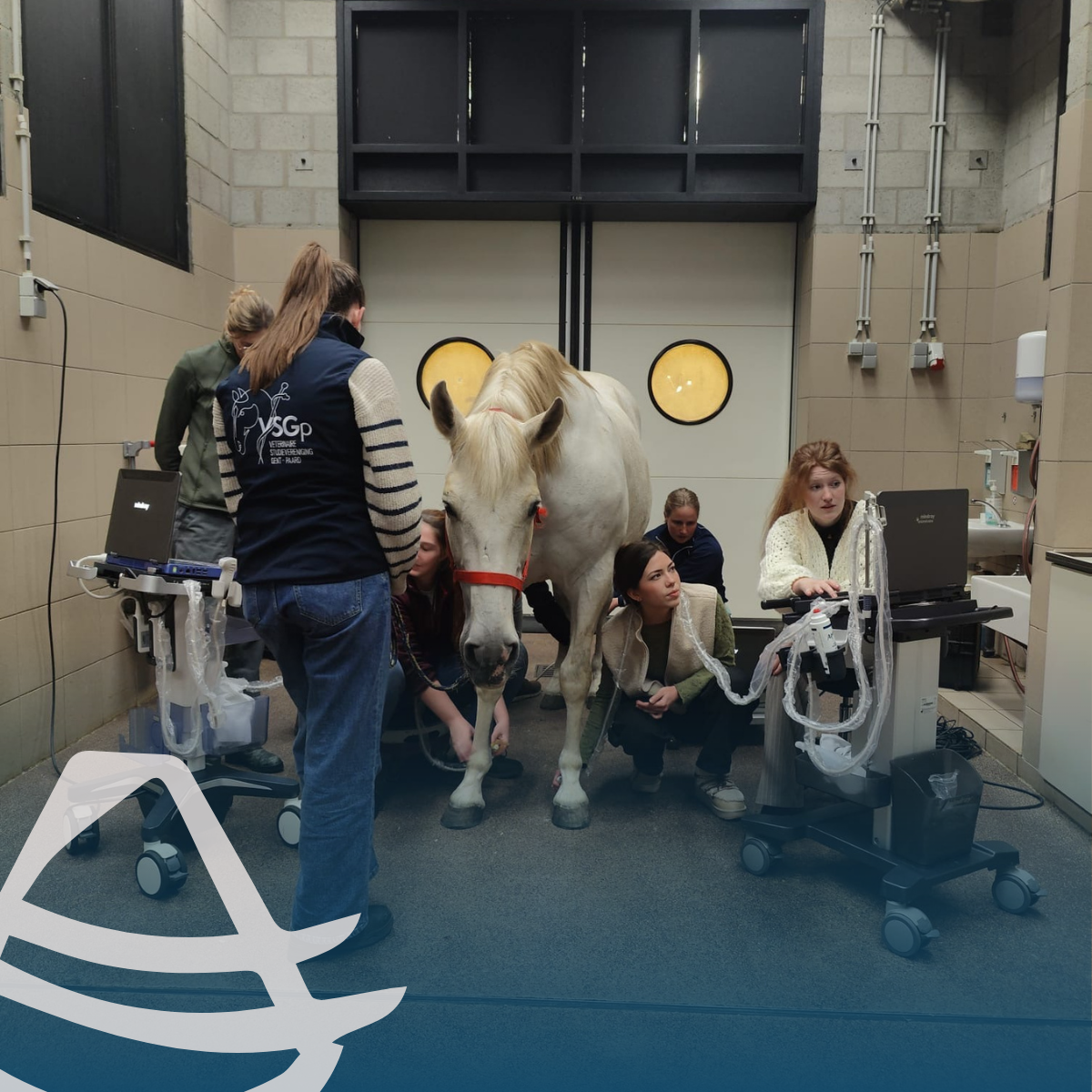Op 11 maart waren we met ECHOMEDIC aanwezig bij de ACVETMED-opleiding “Echografie van de buigpezen en de kootregio” aan de Universiteit Gent.