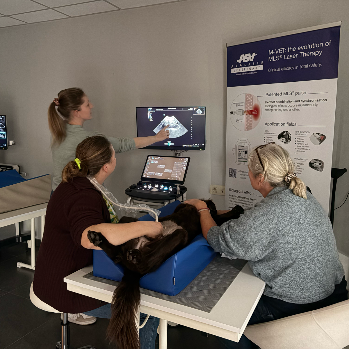 Vrijdag 27 februari ondersteunden we met veel enthousiasme de derde module van de opleiding Echo Abdomen Advanced bij Happy Vet.