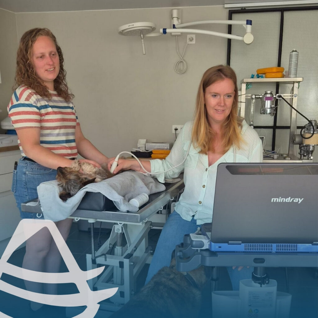 Dierenartsen Leiehof kiest voor de Mindray Vetus E7