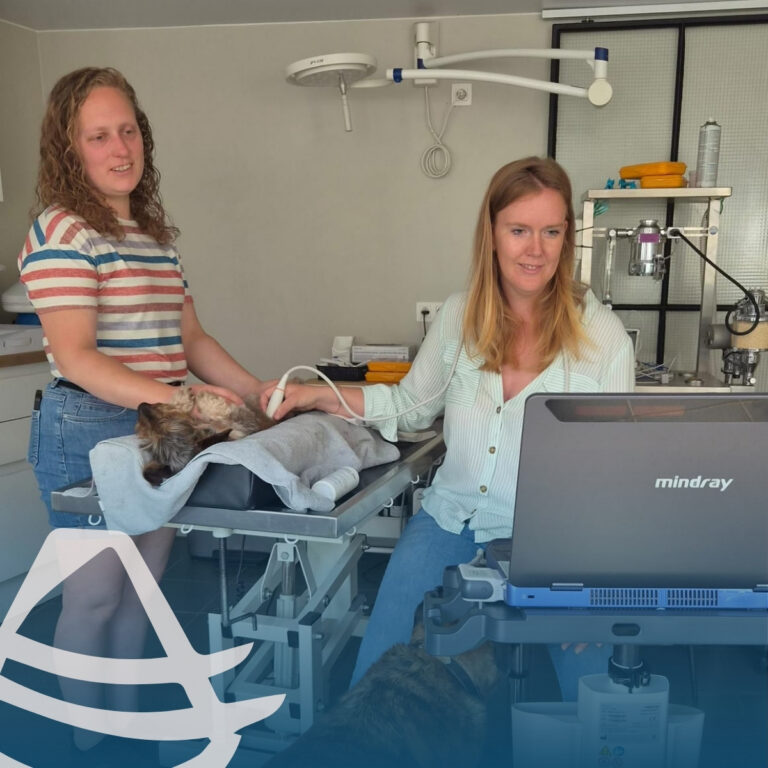 Dierenartsen Leiehof kiest voor de Mindray Vetus E7