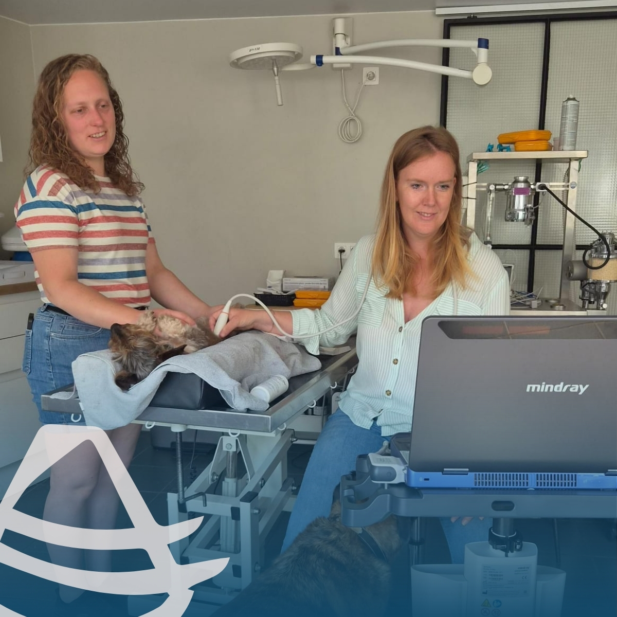 Recent installeerde Echomedic een Mindray Vetus E7 bij Juliette en Gaëlle van Dierenartsen Leiehof.