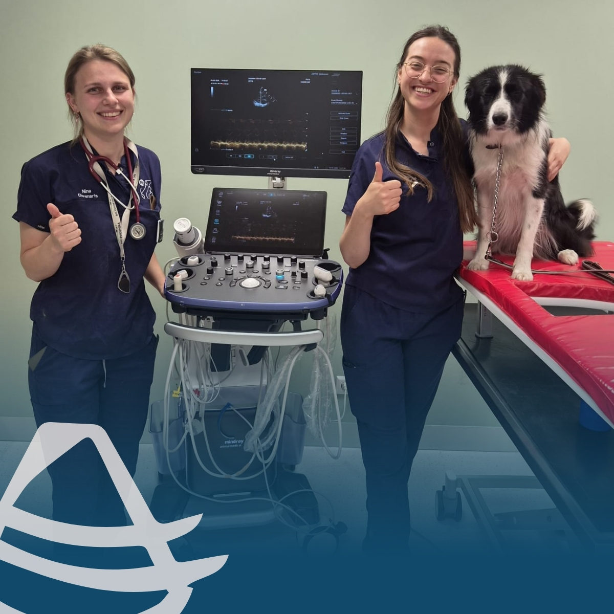 Recent verzorgde Echomedic de installatie van een Mindray Vetus 9 bij AnimaPlus. Voor abdominale echografie en echocardiografie maakte de praktijk de overstap van Esaote naar Mindray.