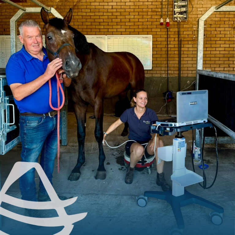 Paardenfokkerij De Hallse Hoeve kiest voor de Mindray Vetus EQ