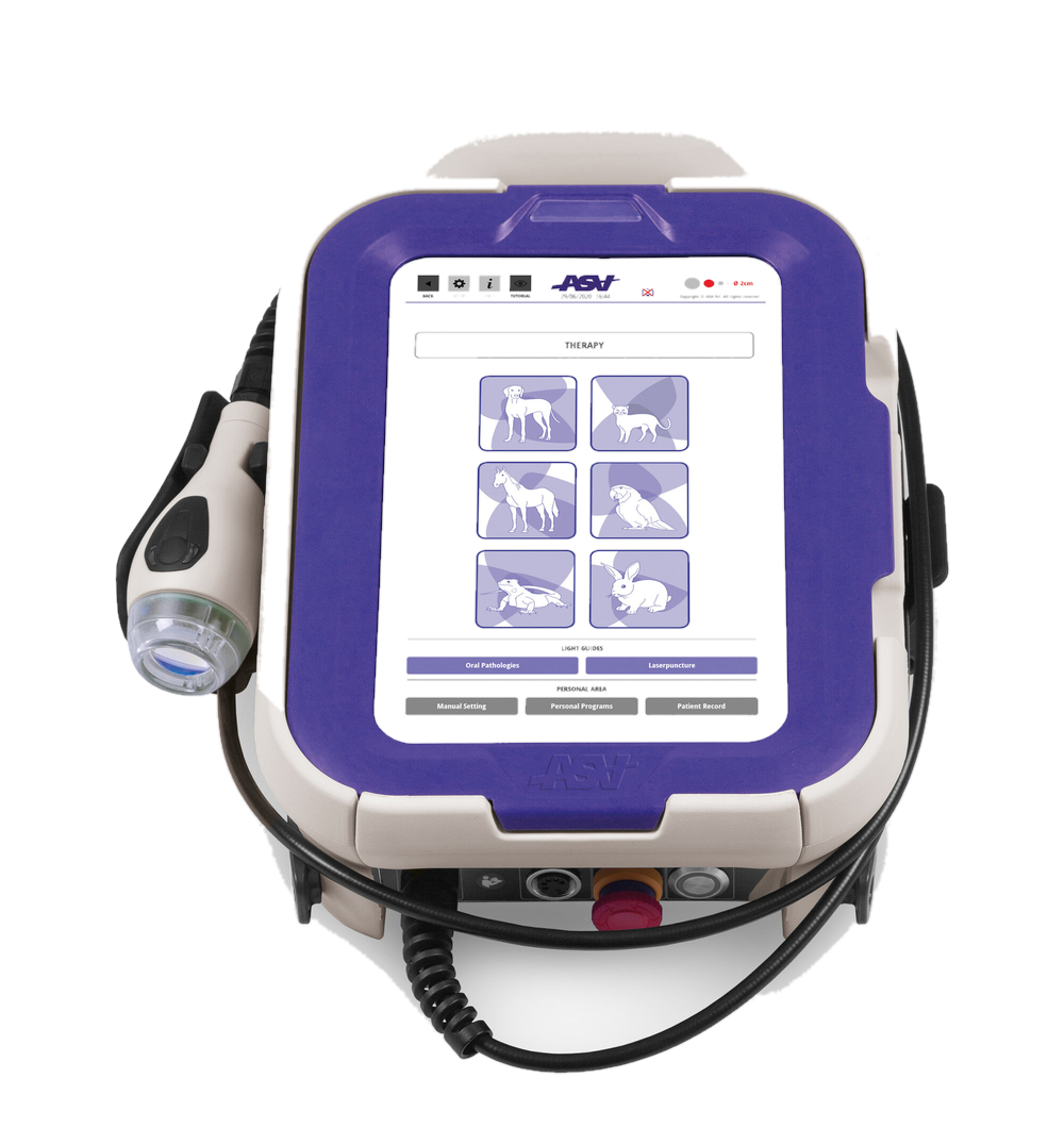 De ASA Laser M-Vet is een klasse 4 therapeutische laser met de gepatenteerde MLS®-technologie en een piekvermogen van 270 W. Met Point-by-Point behandeling, vier lenzen, een 10,1-inch touchscreen en presets voor gezelschapsdieren, paarden, reptielen, vogels en exoten.
