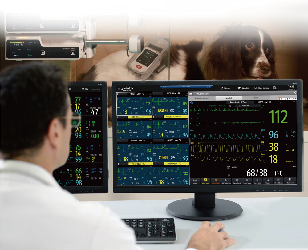 cms-11-1000x-q100