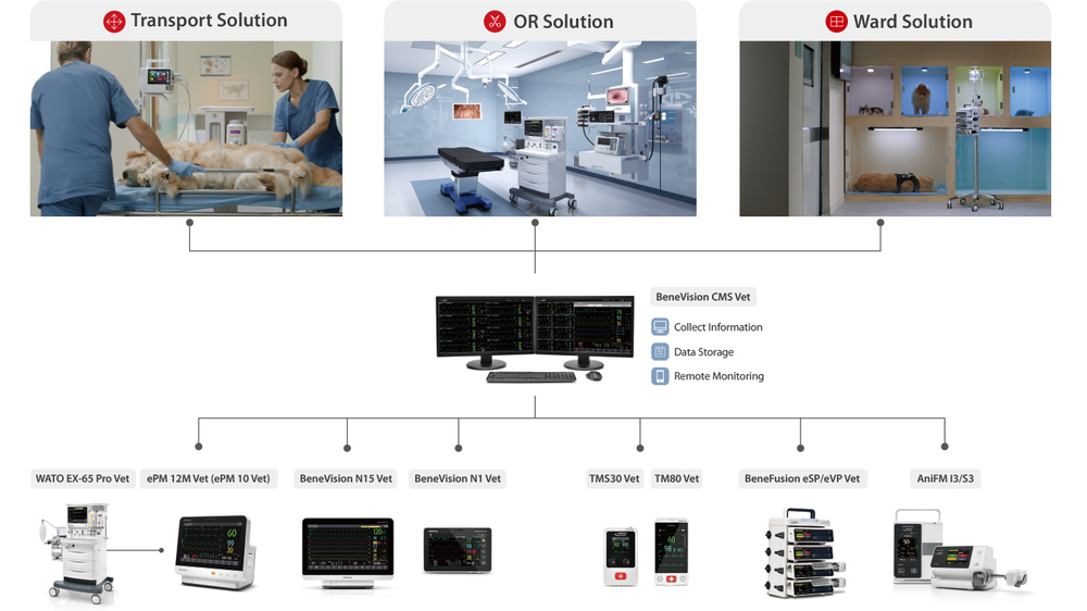 cms-8-1000x-q100