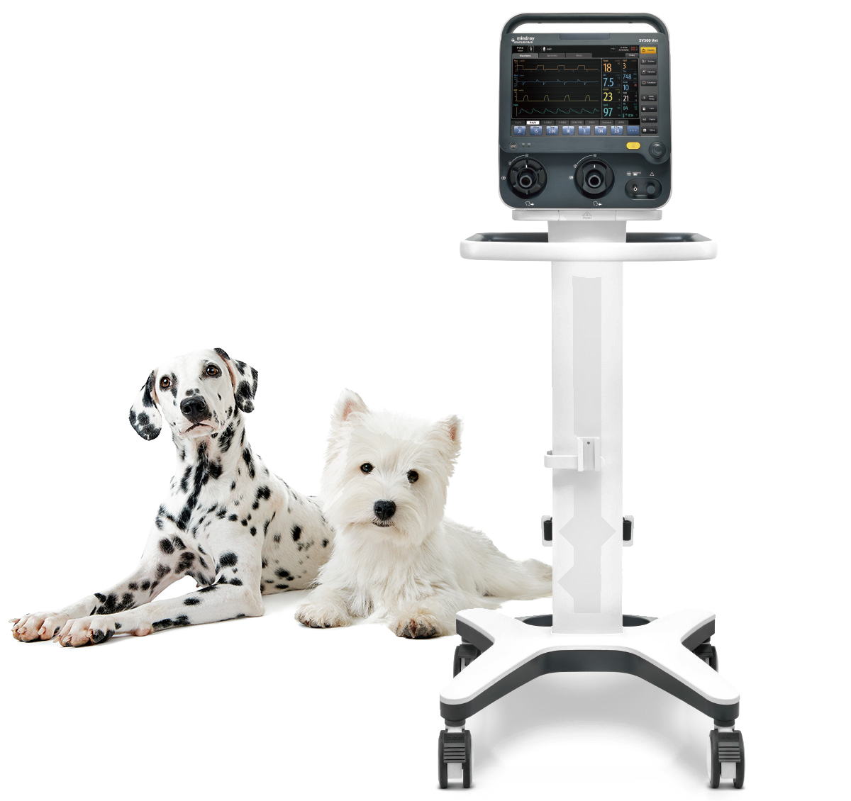 Mindray SV300 Pro Vet veterinaire ICU-ventilator