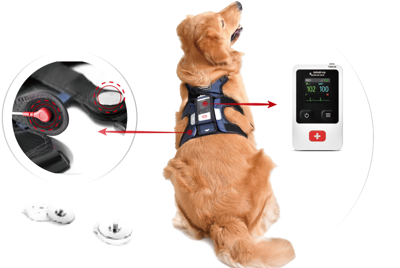 Mindray TMS30 Vet Mindray TMS30 Vet veterinaire telemetriemonitor