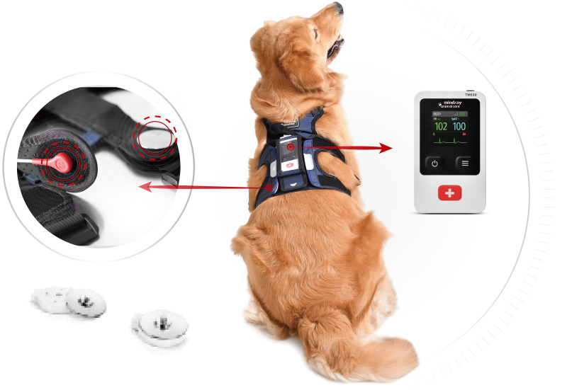 Mindray TMS30 Vet Mindray TMS30 Vet veterinaire telemetriemonitor