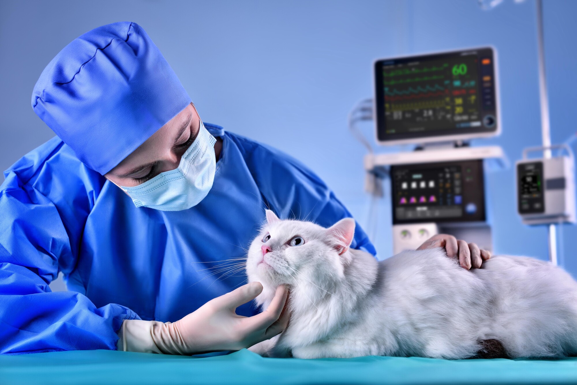 Mindray Veta 5 veterinair anesthesiesysteem