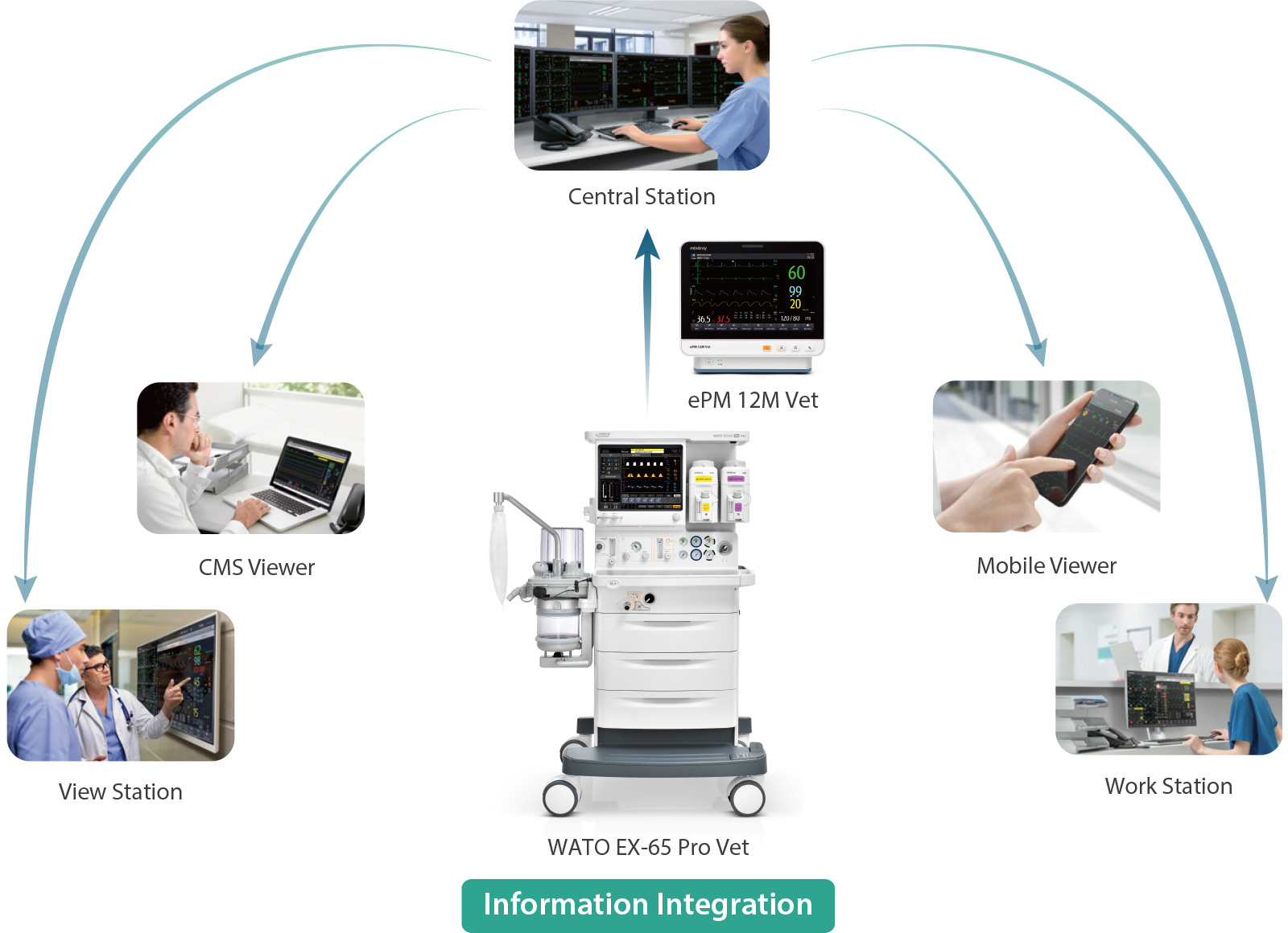 Mindray WATO EX-65 Pro Vet Mindray WATO EX-65 Pro Vet anesthesietoestel — detailbeeld